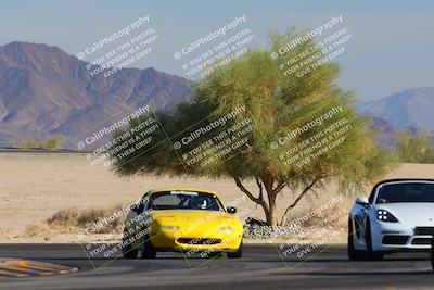 media/Nov-23-2024-Nasa (Sat) [[59fad93144]]/HPDE 1-2/Session 3 Turn 4 Tree of Life/
